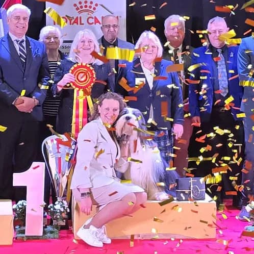 Victoire en exposition canine